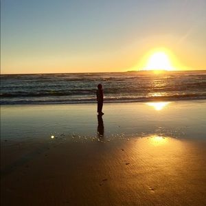 Meet your Posher, Riley